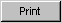btnprint.gif
